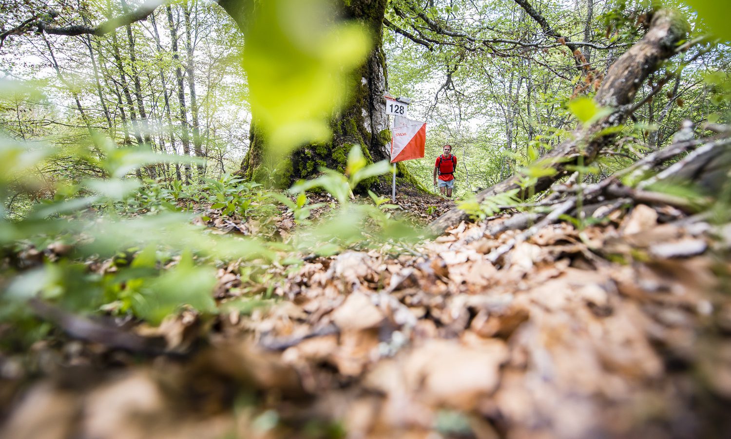 Entrainement en forêt